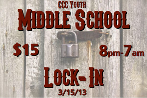 MS Lockin flyer4